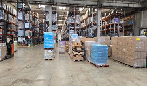 Réimplantation de Saint Vit